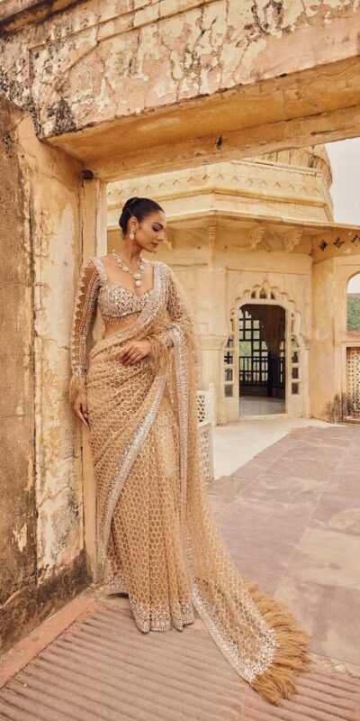 DF 3466 Cream Butterfly Net With Embroidery Work & Sequins Work Saree . Introductory Price ₹1799. Delivery 4-6 Working Days. Shop now. | Sarees, Bollywood Sarees, Creative Sarees, Designer Sarees, Embroidered Sarees, Ethnic Saree, Modern Digital sarees, Party Wear Sarees
