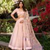 Light Pink Gold Crush Sequins Lehenga Choli
