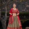 LNB 1210 Mehandi Color Tasar Silk Floral Print With Foil Print Lehenga Choli Wedding, Party, Festive, Events Etc. Delivery 4-6 Working Days Rs 2499 | Lehenga, Bollywood Lehenga, Creative Lehenga, Designer Lehenga, Embroidered Lehenga, Party Wear Lehenga