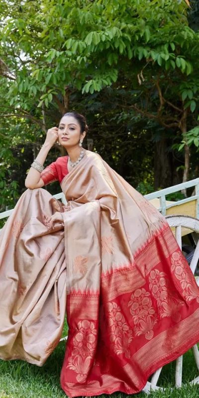 KPR 257 Chiku Soft Lichi Silk Saree with Lace Work & Lace Border. Now at just ₹1349. Delivery 4-6 Working Days. Shop now. | Sarees, Bollywood Sarees, Creative Sarees, Designer Sarees, Embroidered Sarees, Ethnic Saree, Modern Digital sarees, Party Wear Sarees