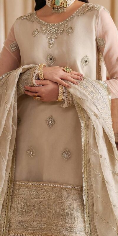 KF 1685 Off White in Tabby Organza Embroidery Work Salwar Suit . Introductory Price ₹2449. Delivery 4-6 Working Days. Shop now. | Jump Suits, Salwar suit, Casual Suits, Creative suits, Designer Suits, Palazzo Suits, Party Wear Suits, Patiala Suits, Straight Suits