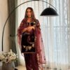 Brown Soft Organza Lace Embroidery Work Salwar Suit