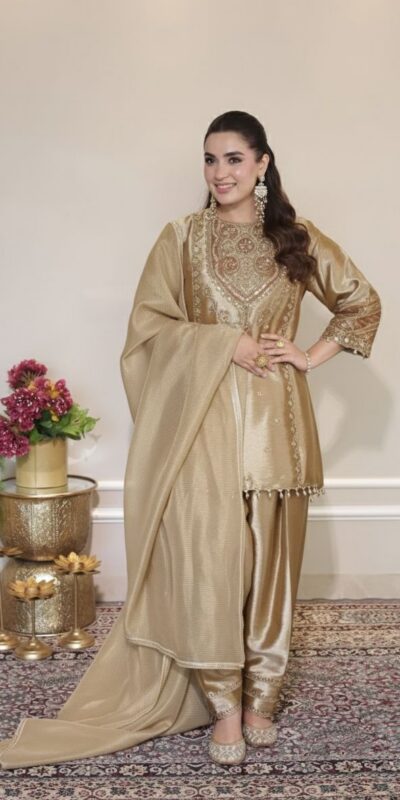 LG 2050 Chiku Fendy Salwar Suit with Embroidery Work. Wedding, Party, Festive, Events, Special Price ₹2049. Delivery 4-6 Working Days. Shop now. | Jump Suits, Salwar suit, Casual Suits, Creative suits, Designer Suits, Palazzo Suits, Party Wear Suits, Patiala Suits, Straight Suits