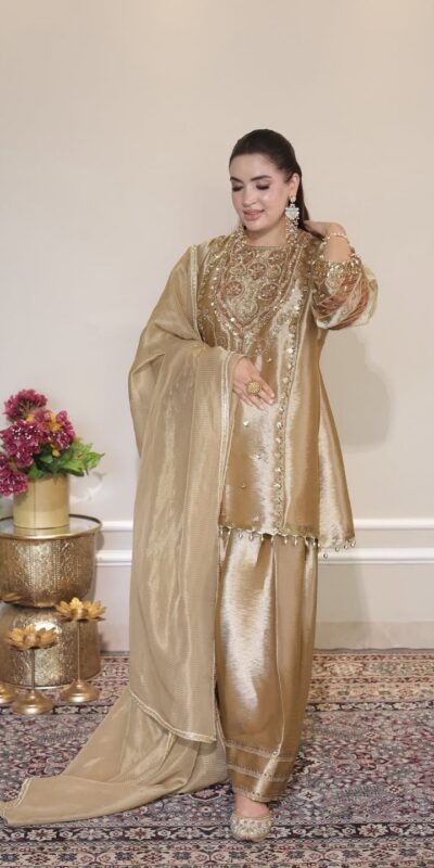 LG 2050 Chiku Fendy Salwar Suit with Embroidery Work. Wedding, Party, Festive, Events, Special Price ₹2049. Delivery 4-6 Working Days. Shop now. | Jump Suits, Salwar suit, Casual Suits, Creative suits, Designer Suits, Palazzo Suits, Party Wear Suits, Patiala Suits, Straight Suits