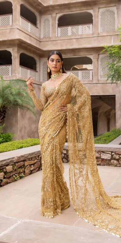 BT 388 Chiku Nylon Butterfly Net Saree with Lace Border & Lace Work. Exclusive Offer ₹1774. Delivery 4-6 Working Days. Shop now. | Sarees, Bollywood Sarees, Creative Sarees, Designer Sarees, Embroidered Sarees, Ethnic Saree, Modern Digital sarees, Party Wear Sarees