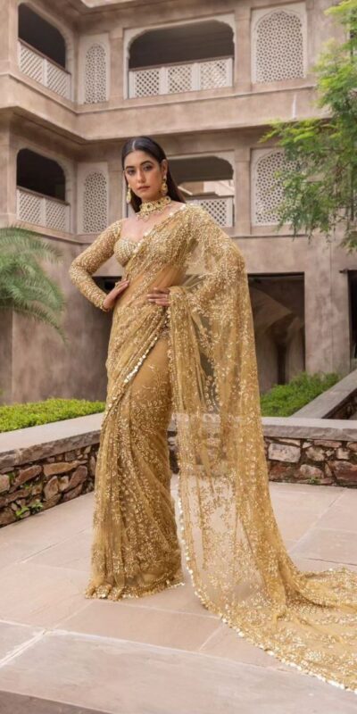 BT 388 Chiku Nylon Butterfly Net Saree with Lace Border & Lace Work. Exclusive Offer ₹1774. Delivery 4-6 Working Days. Shop now. | Sarees, Bollywood Sarees, Creative Sarees, Designer Sarees, Embroidered Sarees, Ethnic Saree, Modern Digital sarees, Party Wear Sarees
