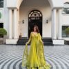 Green Butterfly Net Sequence Work Lehenga Choli