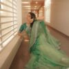 Pista Twill Net Sequins Embroidery Work Saree