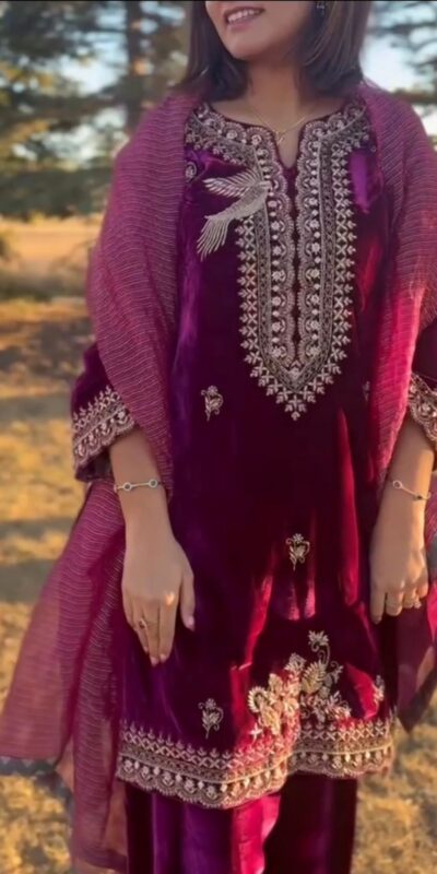 BE 421 Wine Twill Net Salwar Suit with Embroidery Work & Lace Work. Best Price ₹1899. Delivery 4-6 Working Days. Shop now. | Jump Suits, Salwar suit, Casual Suits, Creative suits, Designer Suits, Palazzo Suits, Party Wear Suits, Patiala Suits, Straight Suits