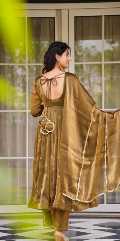 RTC 5897 Brown in Organza Silk Lace Border & Lace Work Salwar Suit . Grab it for ₹2099. Delivery 4-6 Working Days. Shop now. | Jump Suits, Salwar suit, Casual Suits, Creative suits, Designer Suits, Palazzo Suits, Party Wear Suits, Patiala Suits, Straight Suits