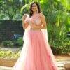Light Pink Butterfly Net Zari Work Lehenga Choli