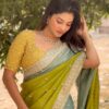 Mahendi Chinon Embroidery Sequins Work Saree