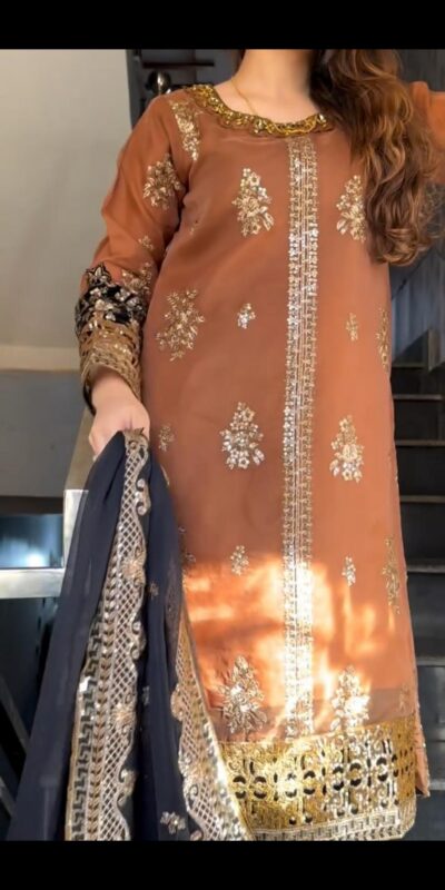₹2149 | ST 1161 Orange Nylon Twil Net Salwar Suit with Embroidery Work. Available at ₹2149 only. Delivery 4-6 Working Days. Shop now. | Jump Suits, Salwar suit, Casual Suits, Creative suits, Designer Suits, Palazzo Suits, Party Wear Suits, Patiala Suits, Straight Suits