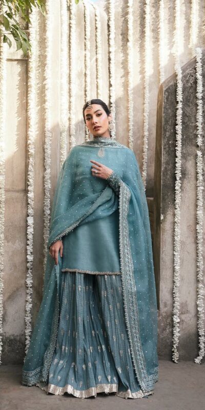 ₹2449 | MT 1067 Sky Blue Sky Georgette Salwar Suit Perfect for Wedding, Party, Engagement, Pooja, Ganesh Chaturthi – . Grab it for ₹2449. Delivery 4-6 Wor | Jump Suits, Salwar suit, Casual Suits, Creative suits, Designer Suits, Palazzo Suits, Party Wear Suits, Patiala Suits, Straight Suits