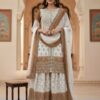 Brown Dual Star Georgette Embroider Work Salwar Suit
