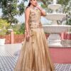 Ram 166 Chiku Gold Crush Lehenga Choli Perfect for Wedding, Party, Ethnic Day, Karwa Chauth, Sangeet – . Special Price ₹2549. Delivery 4-6 Working Days. | Lehenga, Bollywood Lehenga, Creative Lehenga, Designer Lehenga, Embroidered Lehenga, Party Wear Lehenga
