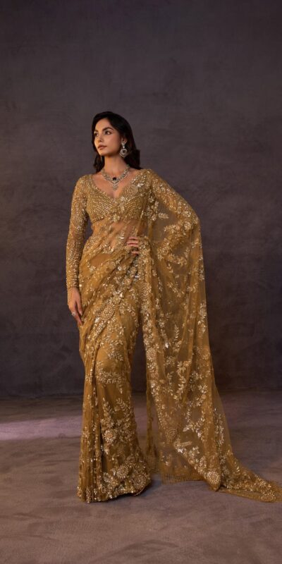 DF 3475 Golden Butterfly Net Saree Sequence with Work & Zari Work. Introductory Price ₹1799. Delivery 4-6 Working Days. Shop now. | Sarees, Bollywood Sarees, Creative Sarees, Designer Sarees, Embroidered Sarees, Ethnic Saree, Modern Digital sarees, Party Wear Sarees