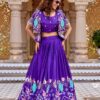 Special Purple Vichitra Embroidery Work Lehenga Choli