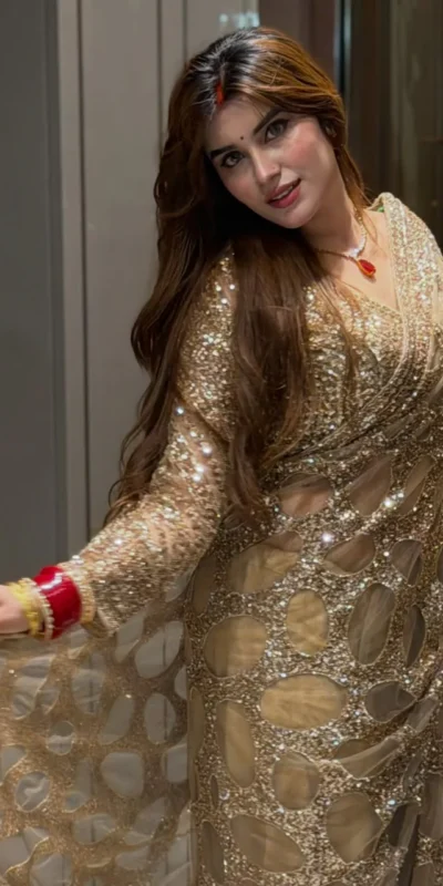 Unique Golden Butterfly Net Sequence Work Saree