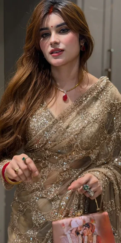 Unique Golden Butterfly Net Sequence Work Saree