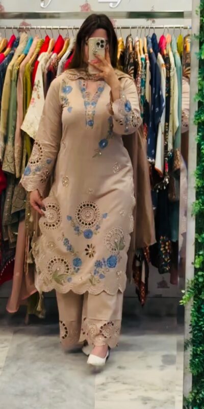 VLM 343 Chiku Roman Salwar Suit with Cut Work & Embroidery Work. Exclusive Offer ₹2449. Delivery 4-6 Working Days. Shop now. | Jump Suits, Salwar suit, Casual Suits, Creative suits, Designer Suits, Palazzo Suits, Party Wear Suits, Patiala Suits, Straight Suits