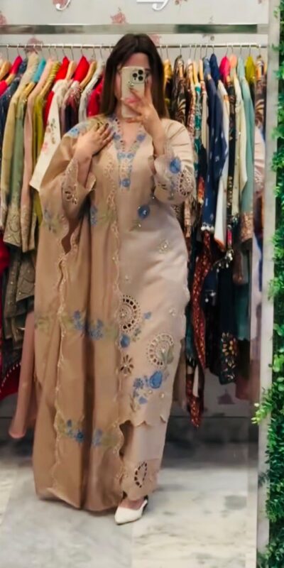 VLM 343 Chiku Roman Salwar Suit with Cut Work & Embroidery Work. Exclusive Offer ₹2449. Delivery 4-6 Working Days. Shop now. | Jump Suits, Salwar suit, Casual Suits, Creative suits, Designer Suits, Palazzo Suits, Party Wear Suits, Patiala Suits, Straight Suits