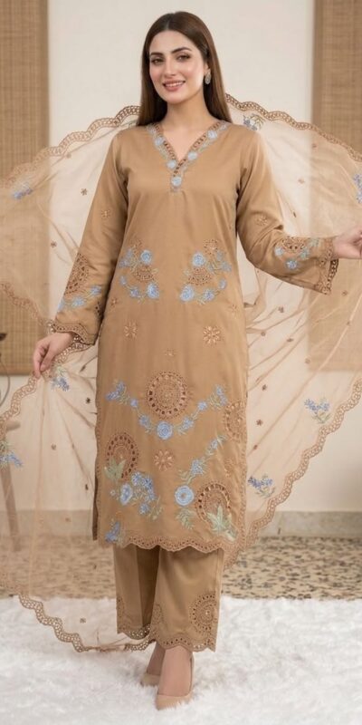 VLM 343 Chiku Roman Salwar Suit with Cut Work & Embroidery Work. Exclusive Offer ₹2449. Delivery 4-6 Working Days. Shop now. | Jump Suits, Salwar suit, Casual Suits, Creative suits, Designer Suits, Palazzo Suits, Party Wear Suits, Patiala Suits, Straight Suits