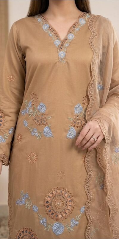 VLM 343 Chiku Roman Salwar Suit with Cut Work & Embroidery Work. Exclusive Offer ₹2449. Delivery 4-6 Working Days. Shop now. | Jump Suits, Salwar suit, Casual Suits, Creative suits, Designer Suits, Palazzo Suits, Party Wear Suits, Patiala Suits, Straight Suits