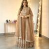 Glowing Chiku Georgette Embroidery Sequins Work Gown