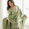 Glowing Pista Glass Roman Silk Sequins Work Salwar Suit