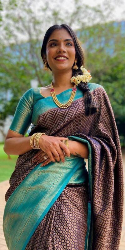 Shiny Brown Lichi Silk Jacquard Border Work Saree
