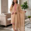 Graceful Chiku Mul Chanderi Silk Embroidery Work Salwar Suit