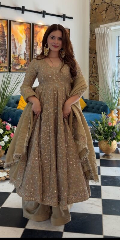Fancy Chiku Fendy Crush Embroidery Work Gown