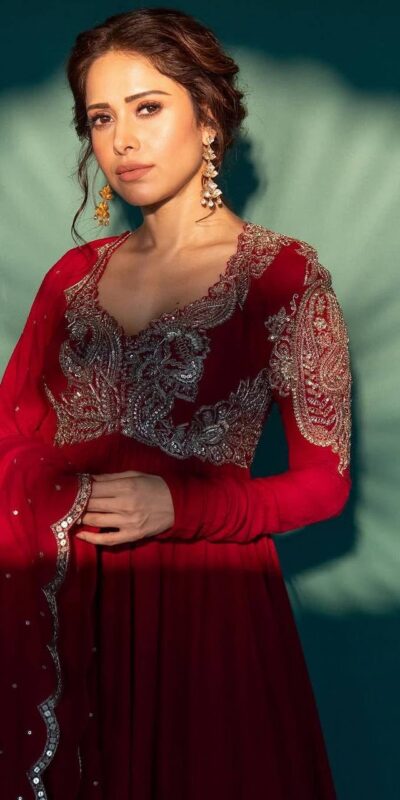 Fantastic Red Chinon Embroidery Lace Work Gown