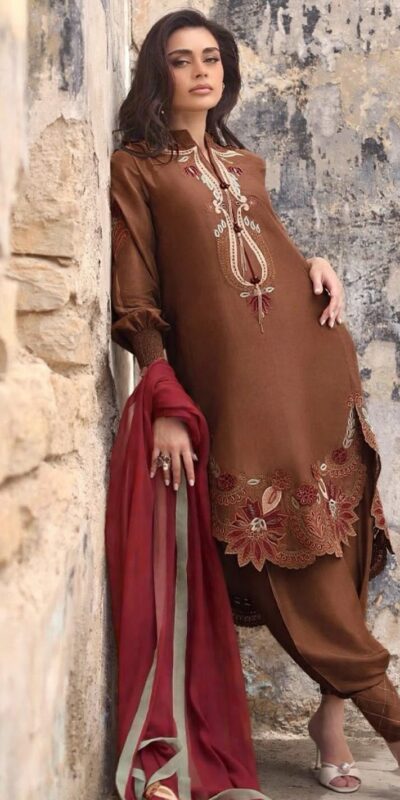 Fantastic Rust Gajji Silk Embroidery Work Salwar Suit