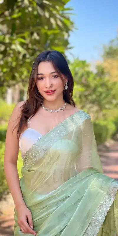 Fancy Pista Green Burberry Silk Diamond Sequins Saree