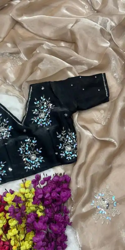 AC JIYA Chiku Soft Jimmy Chuu with Lace Border & Lace Work Saree . Available at ₹3049 only. Delivery 4-6 Working Days. Shop now. | Sarees, Bollywood Sarees, Creative Sarees, Designer Sarees, Embroidered Sarees, Ethnic Saree, Modern Digital sarees, Party Wear Sarees