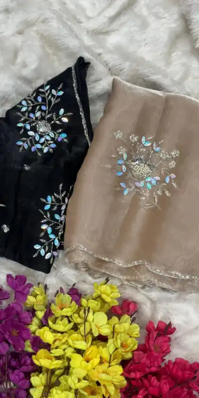AC JIYA Chiku Soft Jimmy Chuu with Lace Border & Lace Work Saree . Available at ₹3049 only. Delivery 4-6 Working Days. Shop now. | Sarees, Bollywood Sarees, Creative Sarees, Designer Sarees, Embroidered Sarees, Ethnic Saree, Modern Digital sarees, Party Wear Sarees