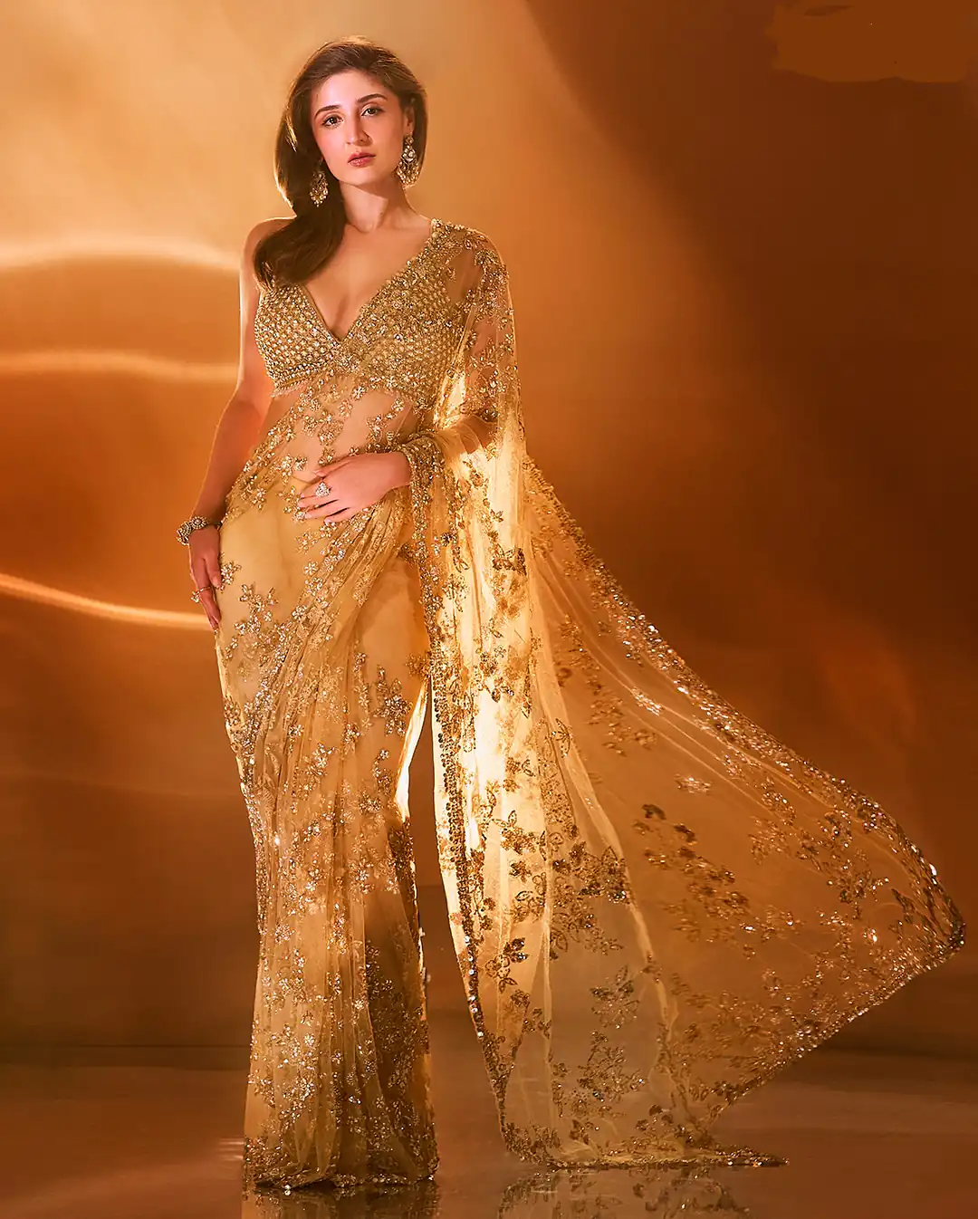 Chiku Nylon Butterfly Net Border Lace Work Saree - Image 6