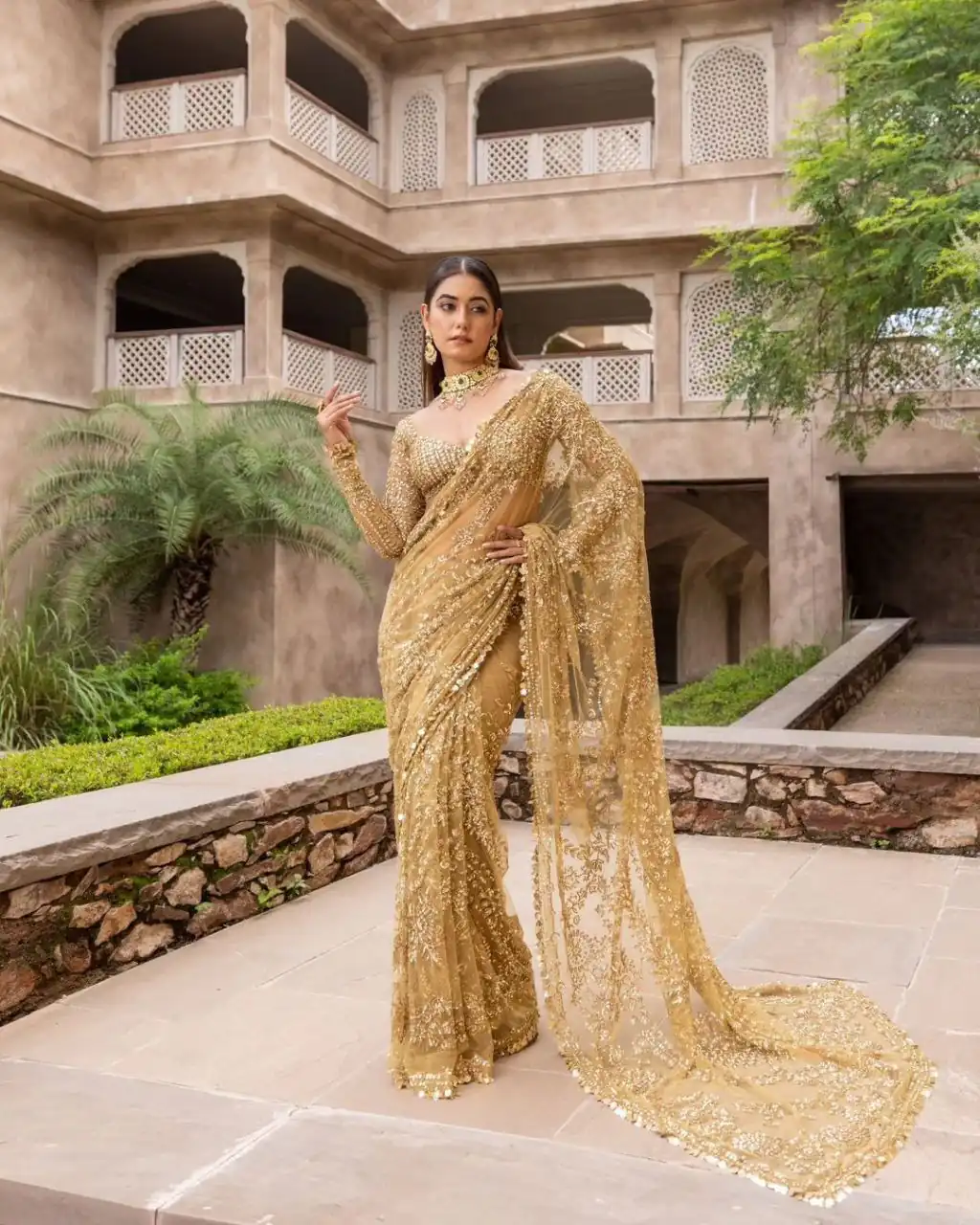 Chiku Nylon Butterfly Net Border Lace Work Saree - Image 3
