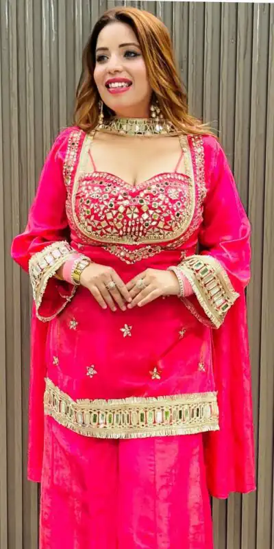 Pink Cosmos Embroidery Mirror Work Salwar Suit