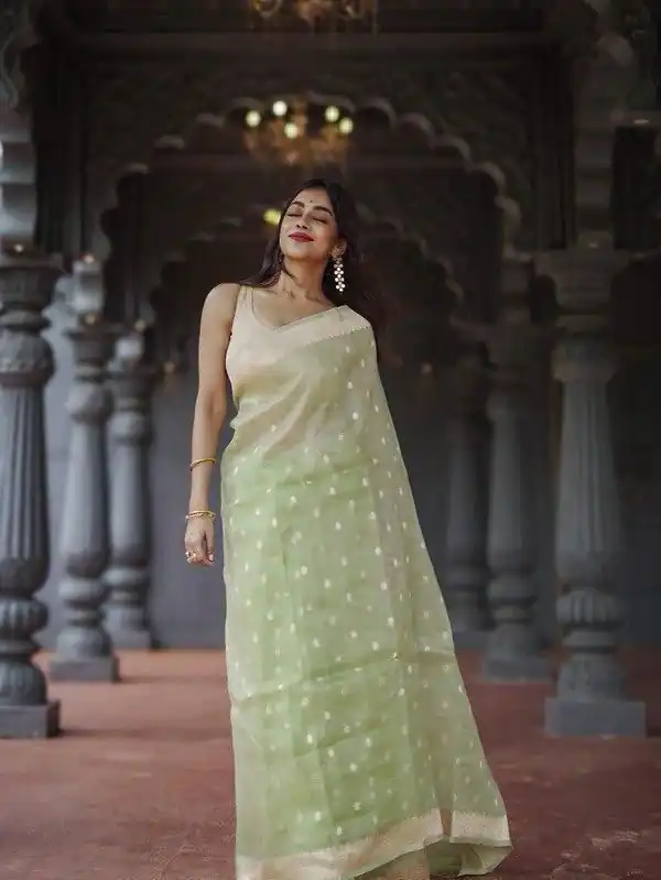 Pista Soft Lilan Slab Weaving Work Saree - Image 4