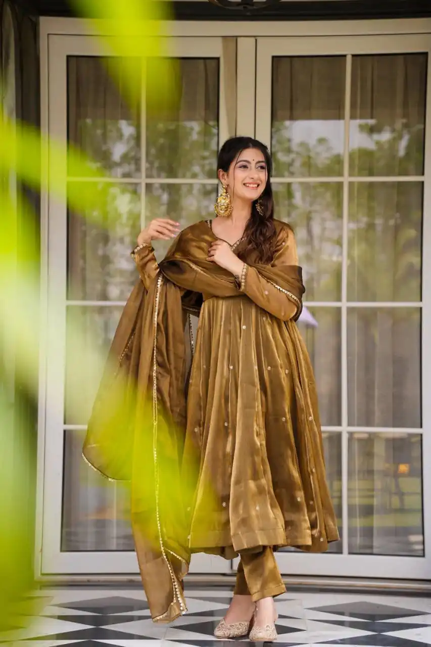 Brown Organza Silk Border Lace Work Salwar Suit - Image 2