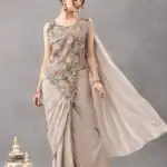 Gorgeous Chiku Chinon Embroidery Work Saree