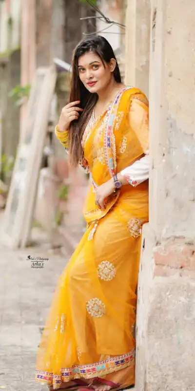 Magical Mustered Butterfly Net Embroidery Work Saree