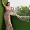 Trendy Chiku Butterfly Net Sequence Work Saree