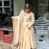 Fancy Cream Tabby Organza Silk Hand Work Gown