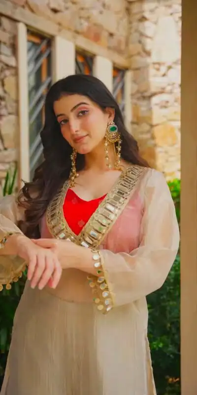 Pretty Chiku Salsa Silk Mirror Work Salwar Suit
