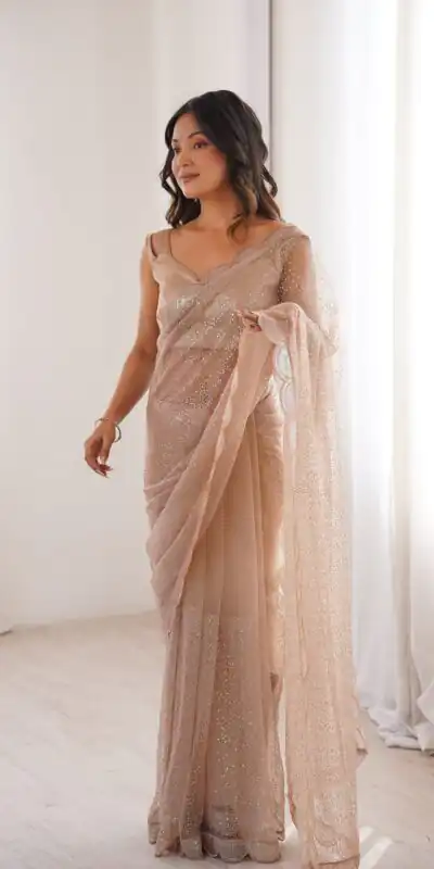 Shiny Cream Soft Net Sequins Work Saree
