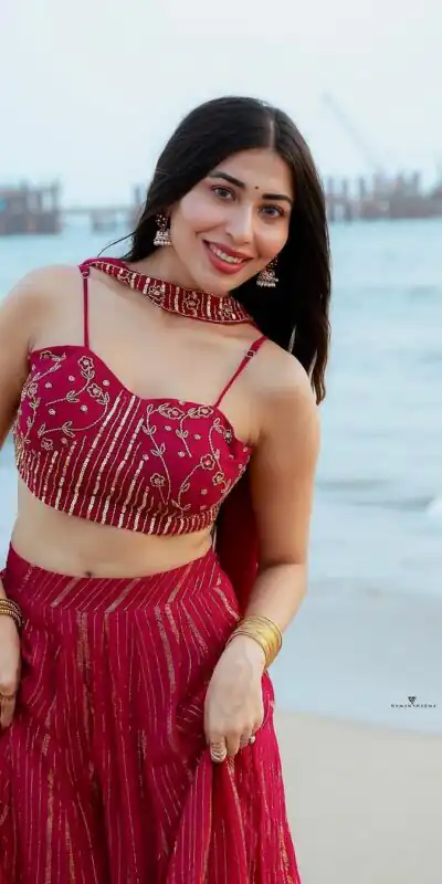 Perfect Red Viscose Georgette Sequins Work Lehenga Choli